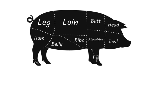 Cut Diagram of Pig