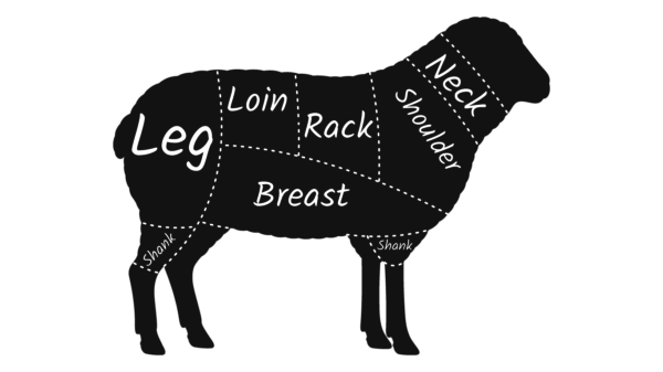 Cut Diagram of Sheep